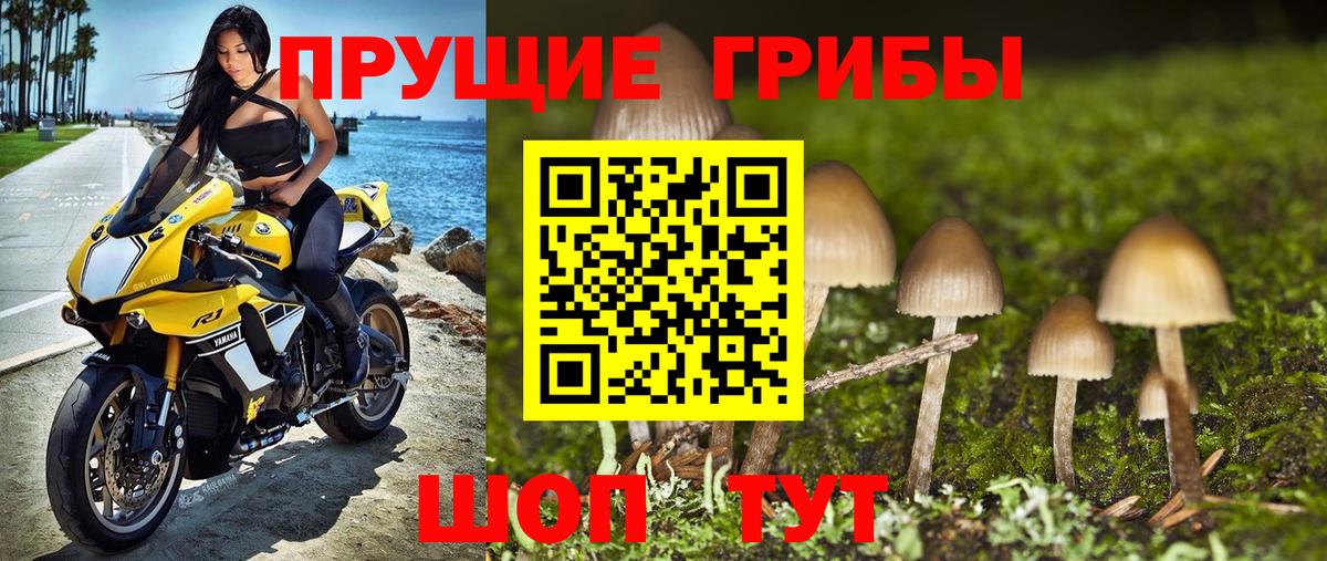 закладка  Галлюциногенные грибы мухоморы  Вход с VPN  Псилоцибиновые грибы мицелий  Воркута 