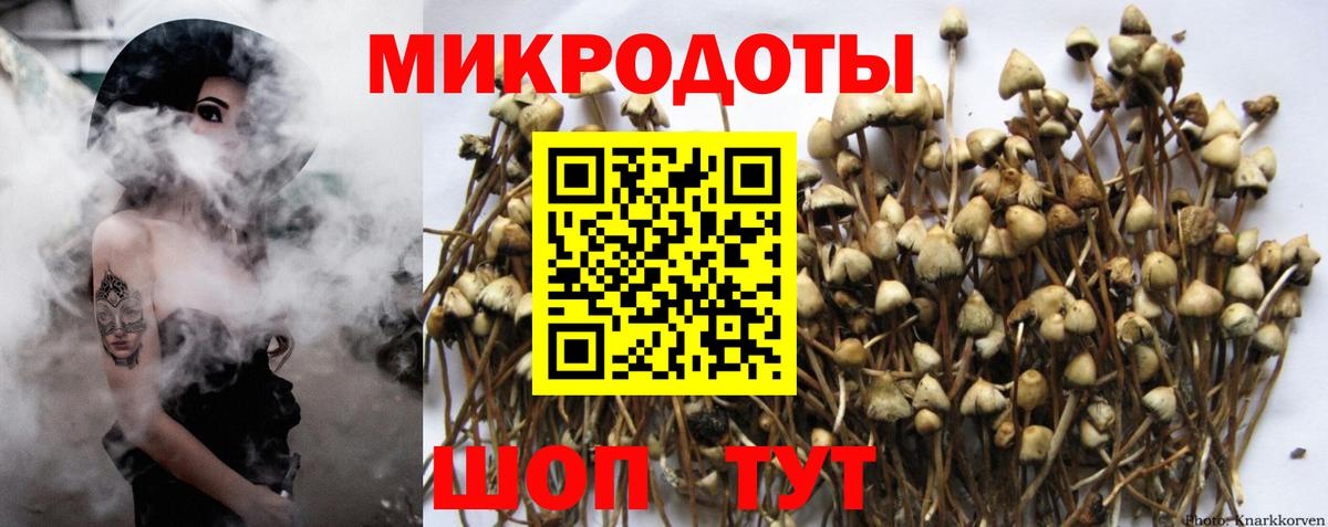 Псилоцибиновые грибы прущие грибы Воркута